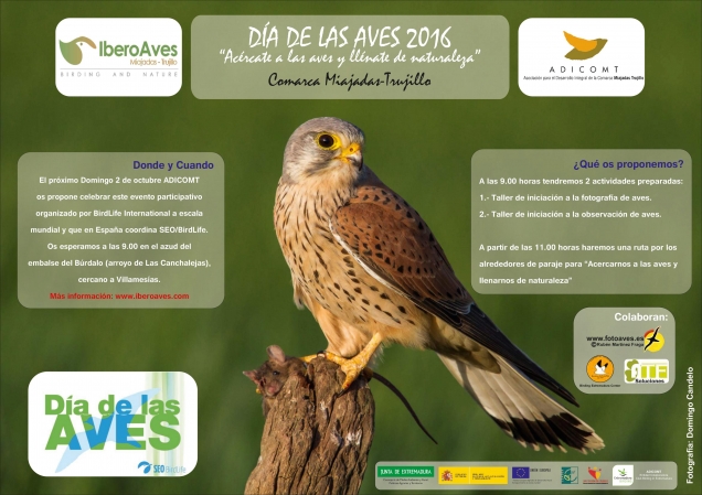 ADICOMT celebrará el Día de las Aves 2016 en el azud del Embalse del Río Búrdalo title=