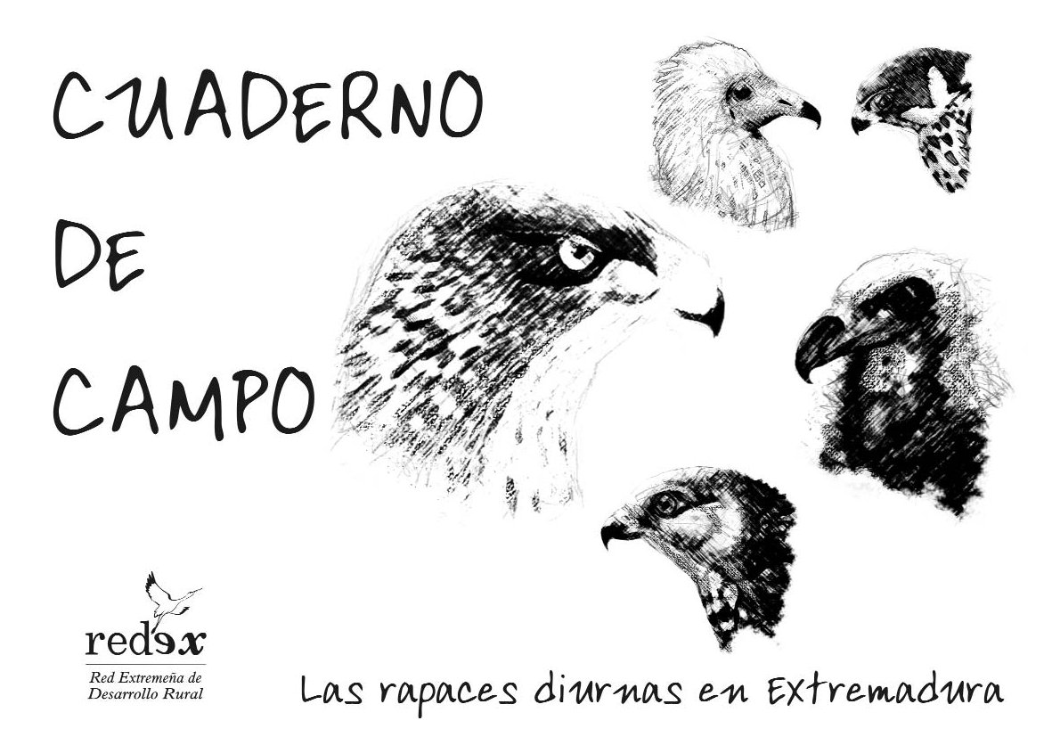 Cuaderno de campo: las rapaces diurnas en Extremadura