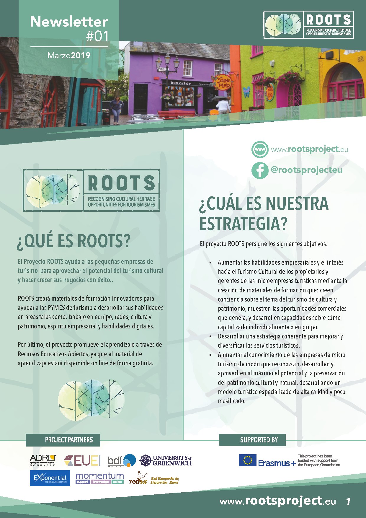 Newsletter Proyecto ROOTS - Marzo 2019